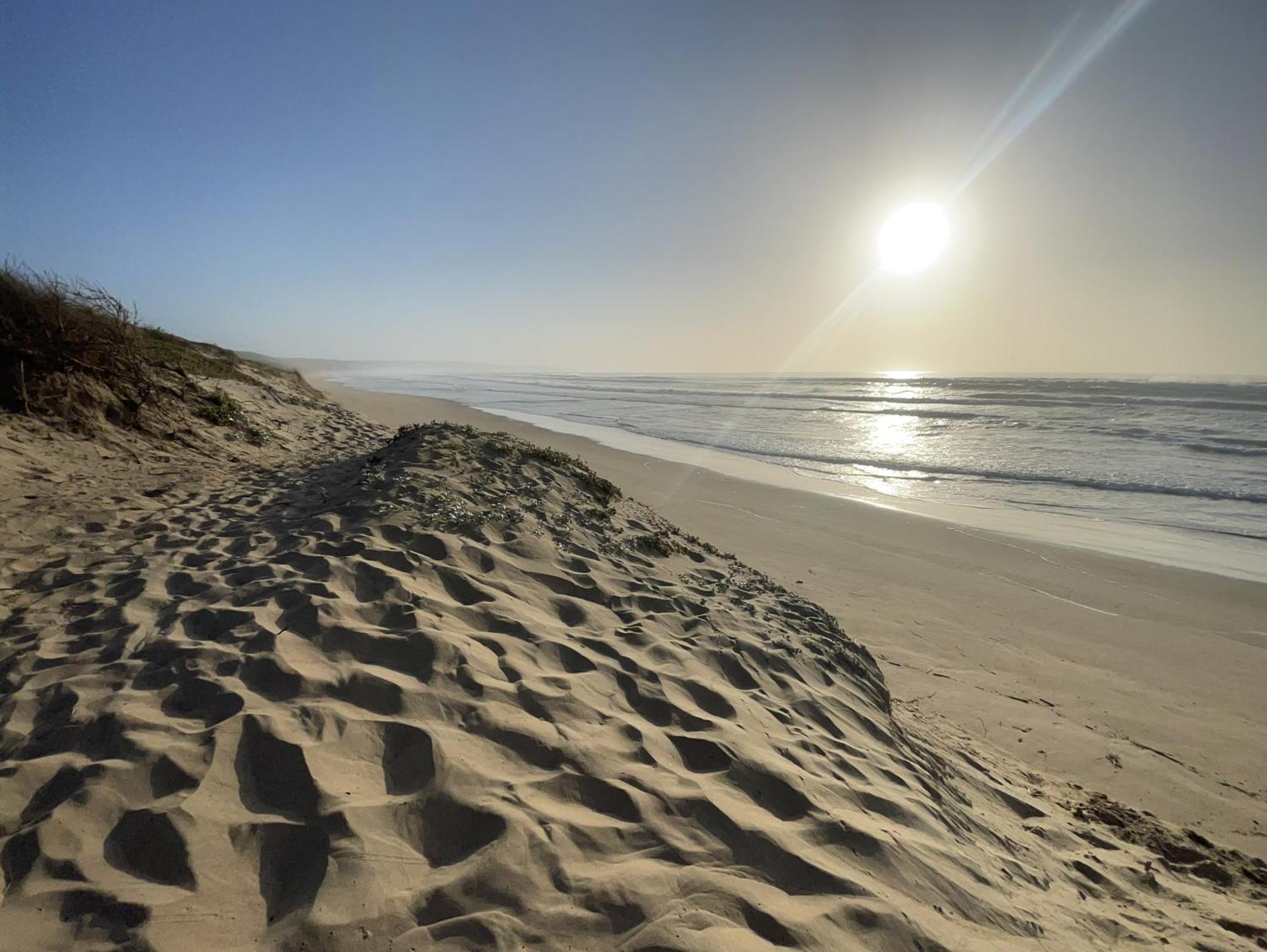 Beachcomber Springerbaai Mossel Bay