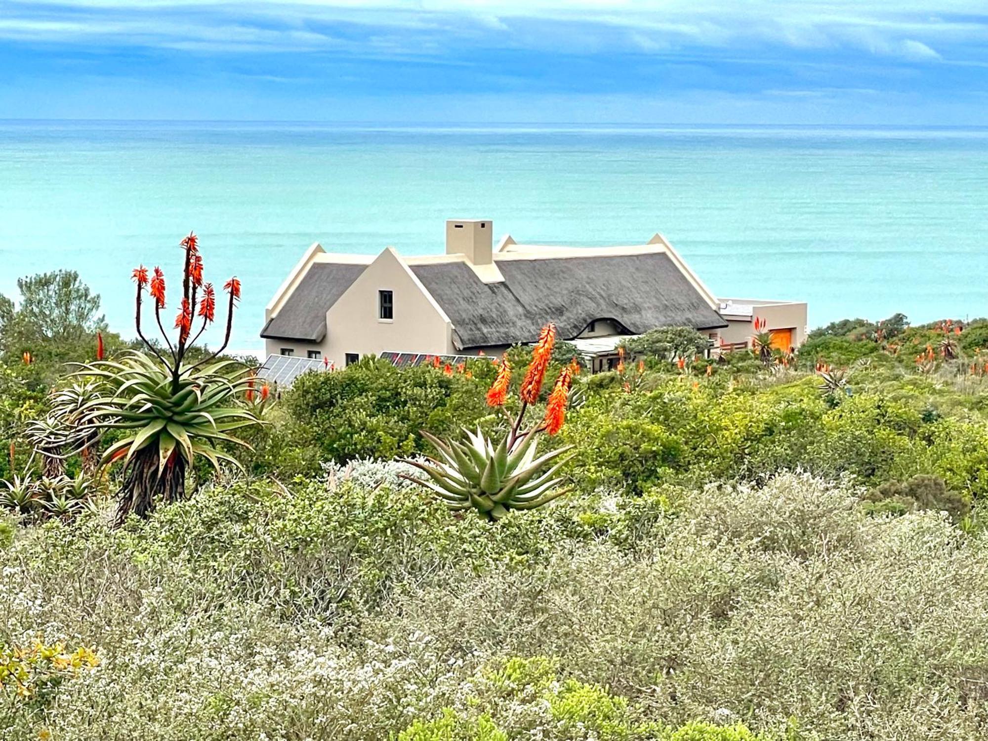 Beachcomber Springerbaai Mossel Bay