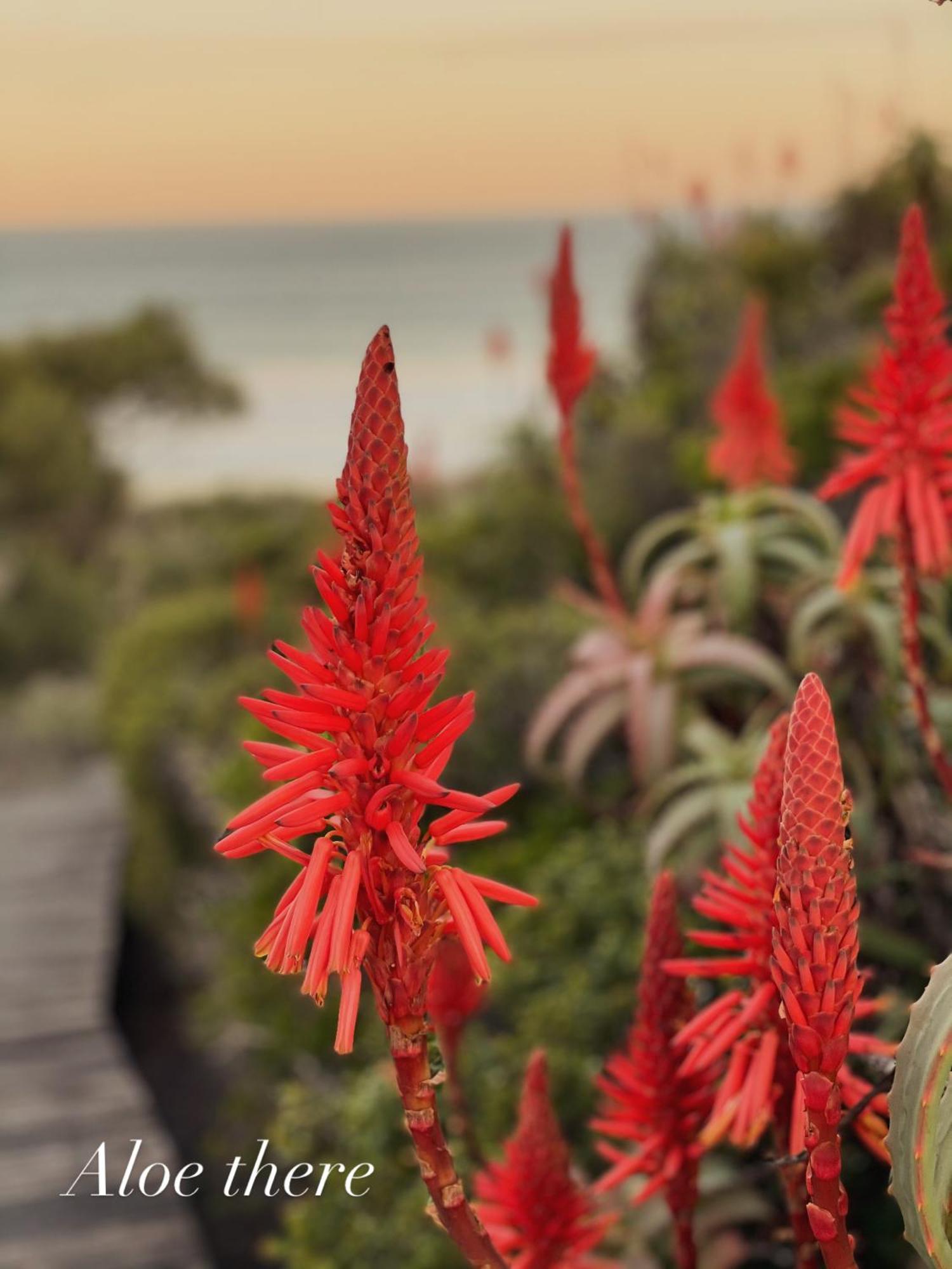 Beachcomber Springerbaai Villa Mossel Bay